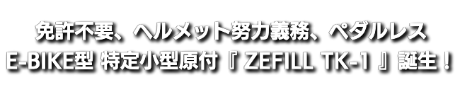 TK-1免許不要・ヘルメット努力義務・ペダルレス